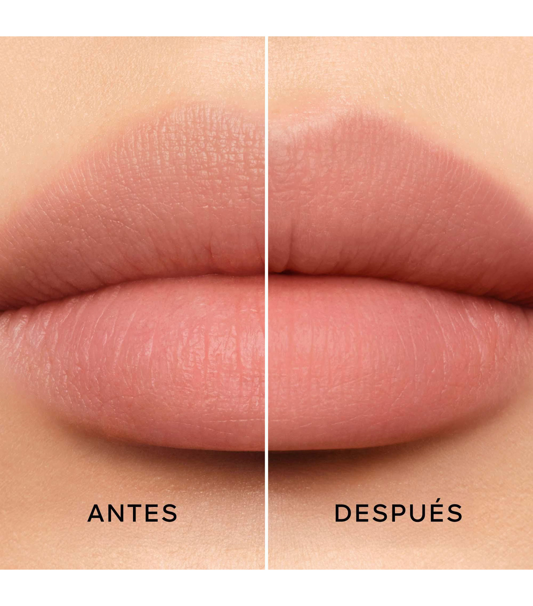 Prebase para labios KissKiss Bee Lift, 3 g